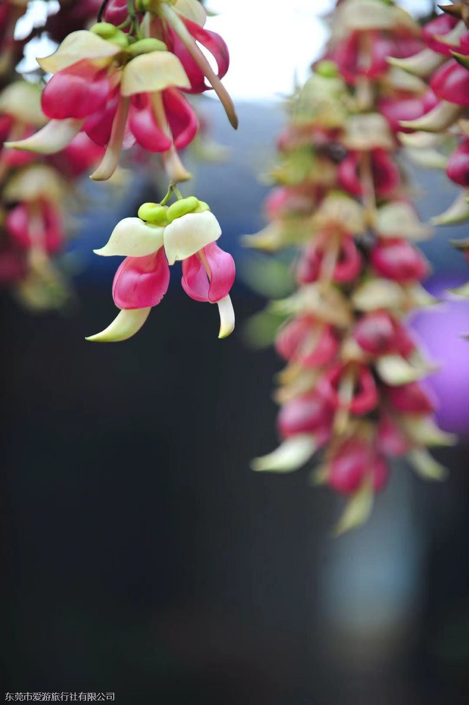 微信图片_20210319144229