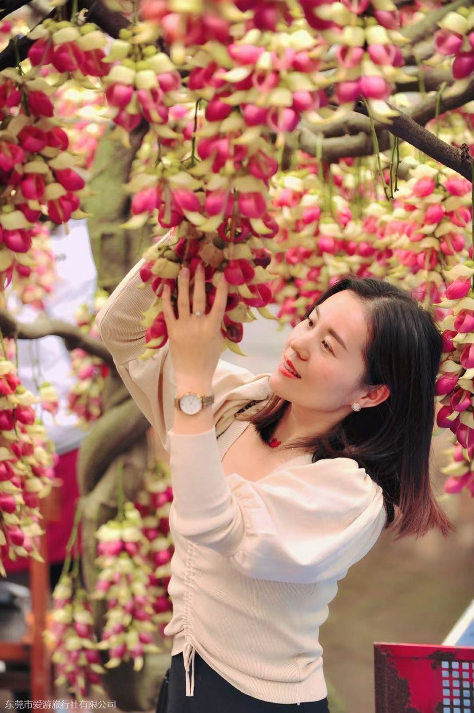 微信图片_20210319144243