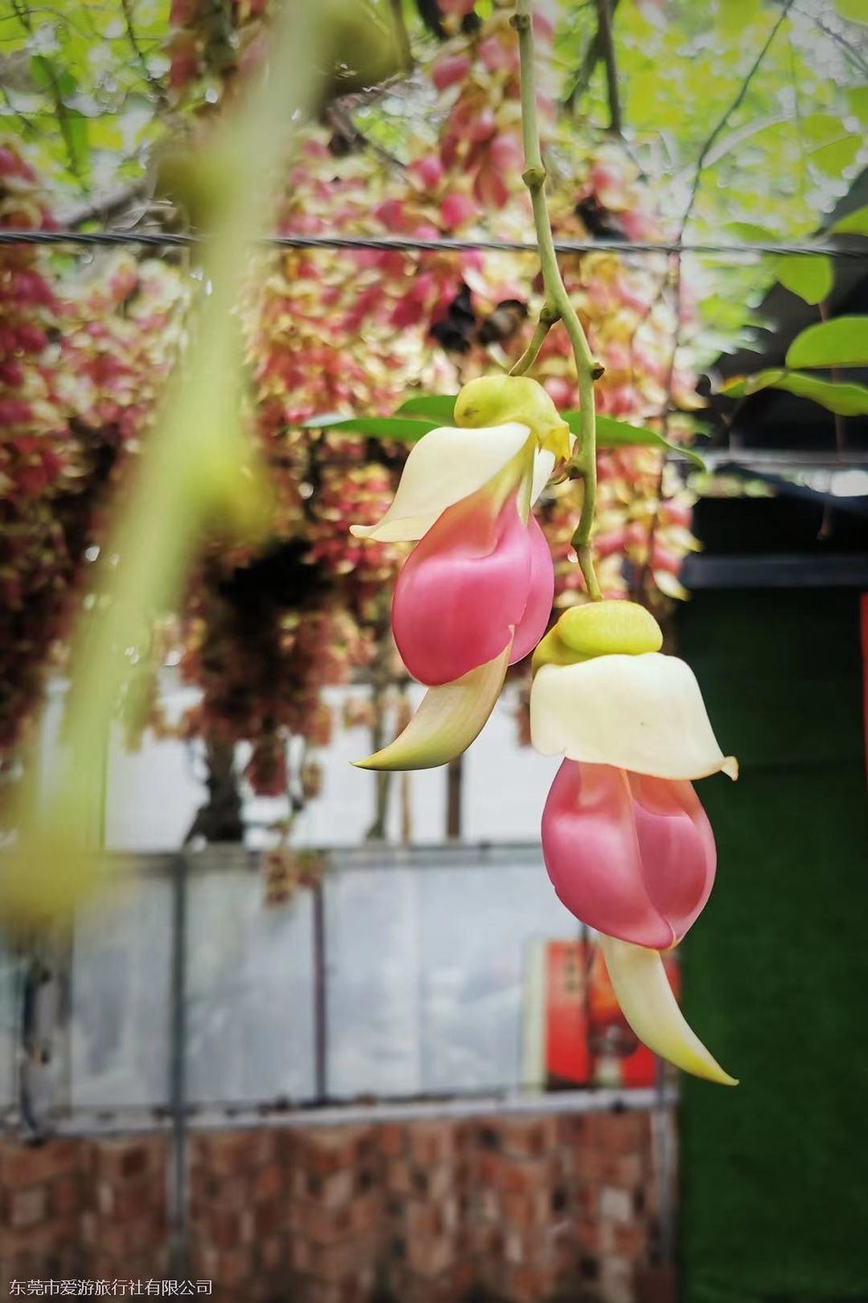 微信图片_20210319144254