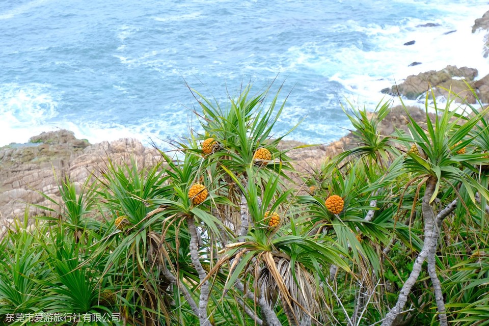 5cf858d673f76664651331a761ae175