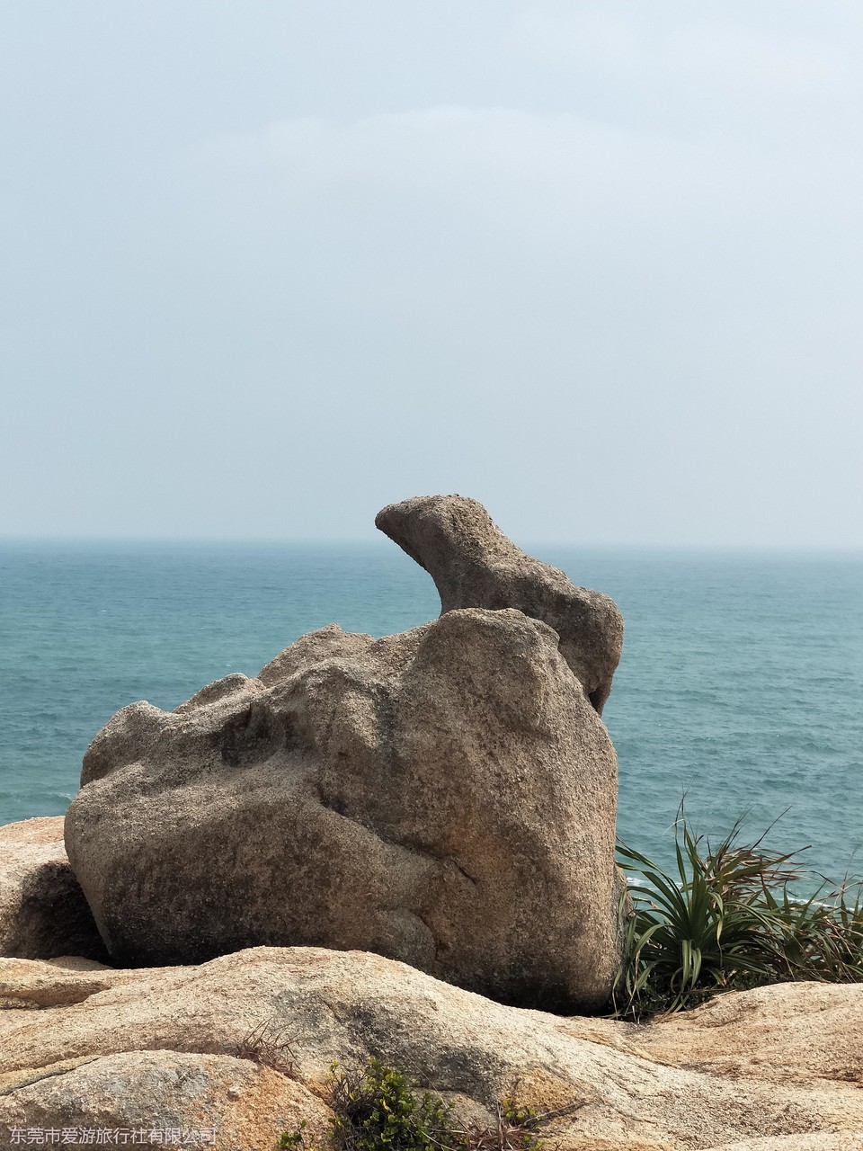 24d452ad76cb9c78378bc065c8dff8b