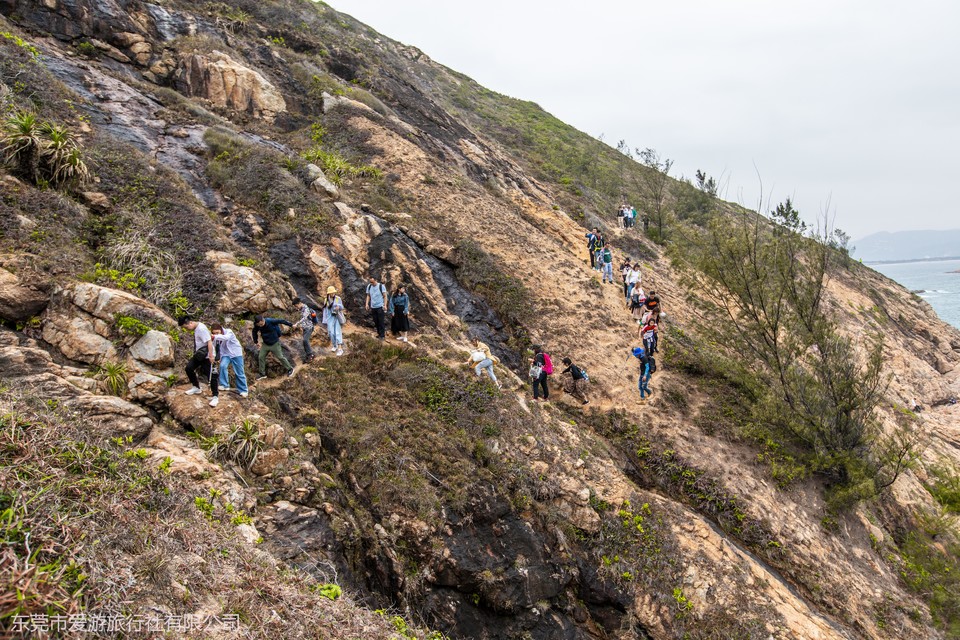 80f3e931e6a9aa900ba71accf0d379e