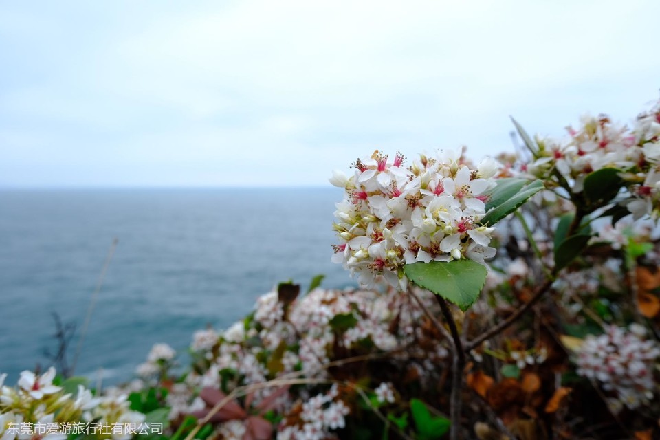 790e6870f7c072840547a6a130766d4