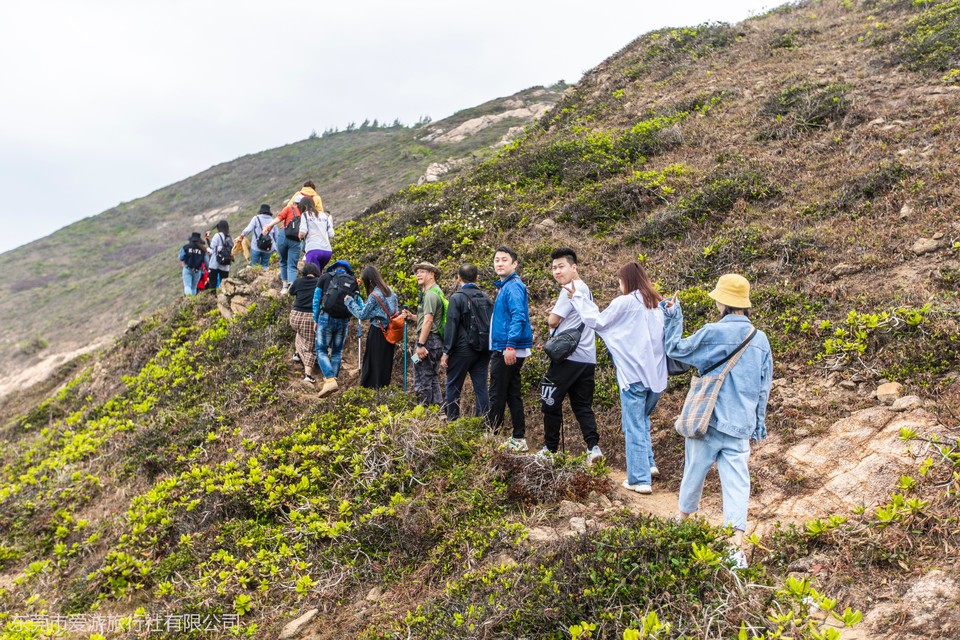 d6e6cedacc3bc6f017a47d838097fc4