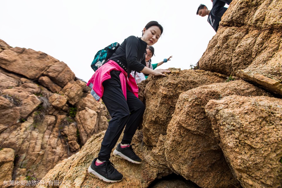 d93306c6127a598f7c3dc1bc8a14fc4