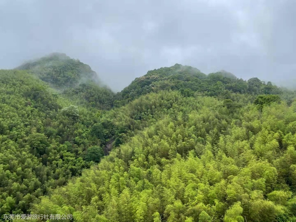 779e5500eeee0d4454d961161892a8c