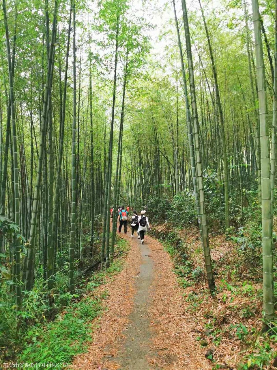 986b82aa68d429b7b678cc995f75c57