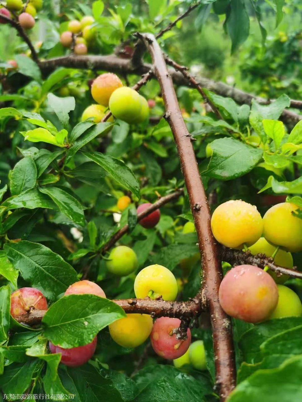 4105ab83b4bde75d41afd09696793a1