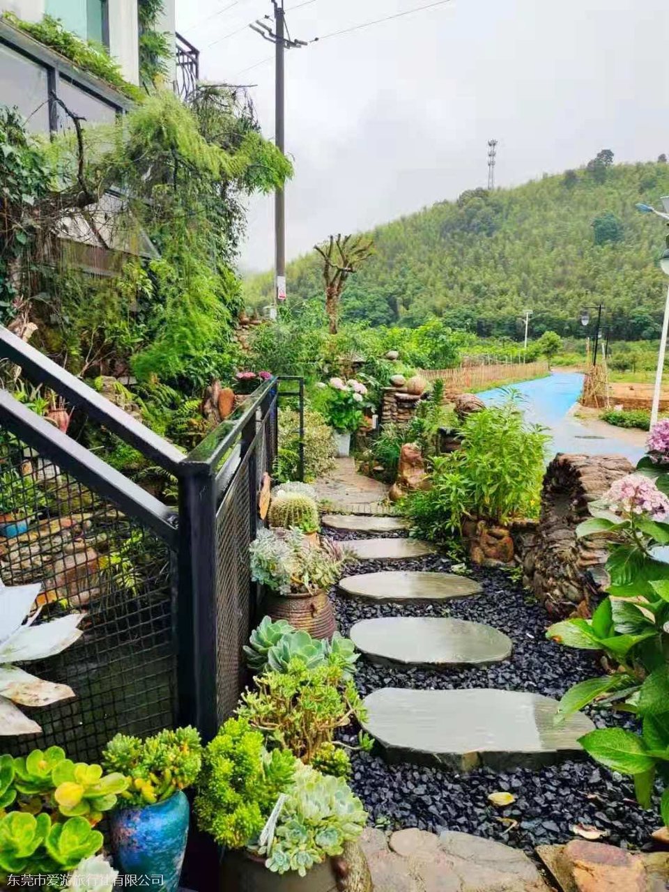 305017f91b84a05743eef9a9a14dcf2