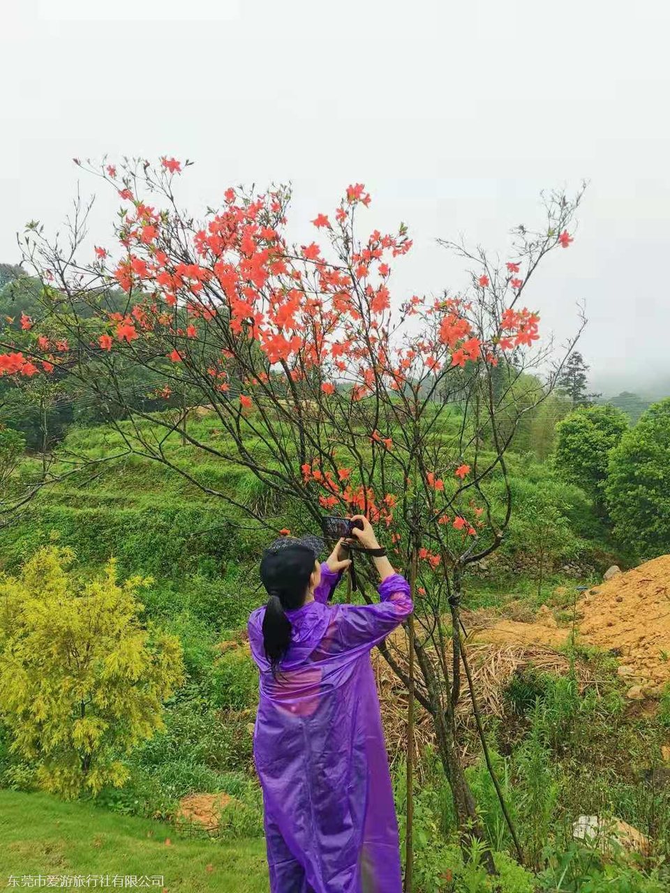 ab93316ea0fb0fe4ea98b1fcc5de954