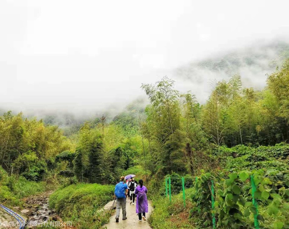 eaec789598bdf2a4551513fe337ecdc