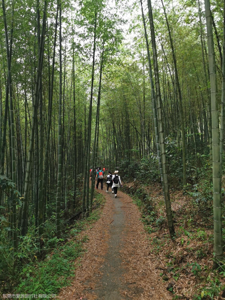 862962ef80bb555cc807fe839892e7e