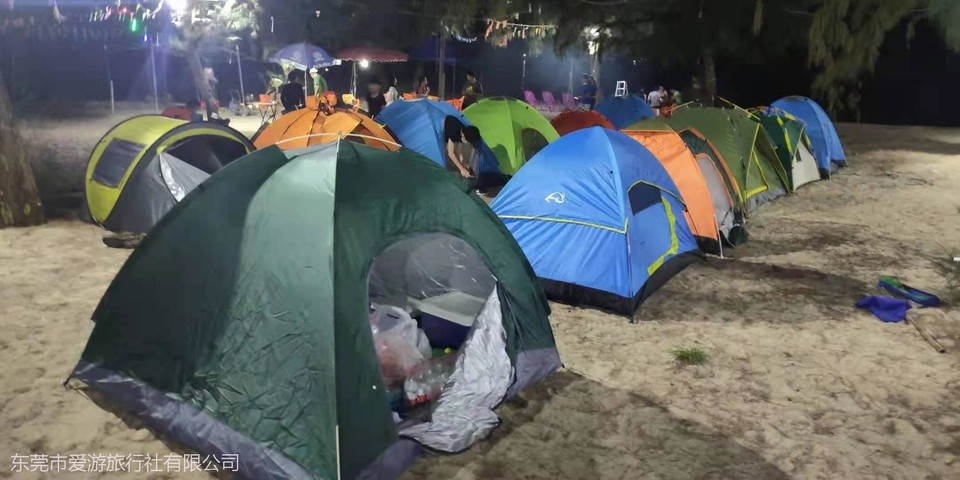 6fc0cc7b9fd53a4b265496b5d019511