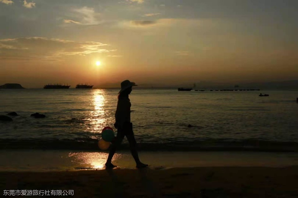 8447e4e09e21fc63933974070395459