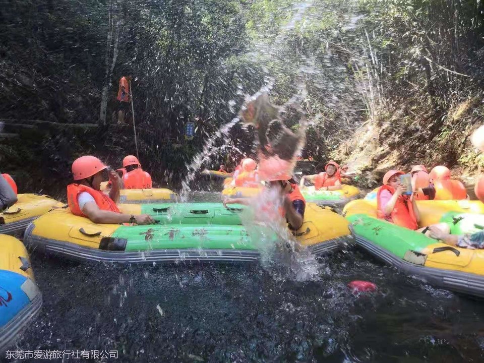 0187d442fe74b3e382a53b37ca6b484