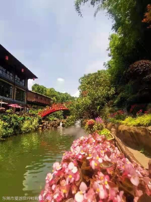 1611c1c8441c7662b879dd516984350