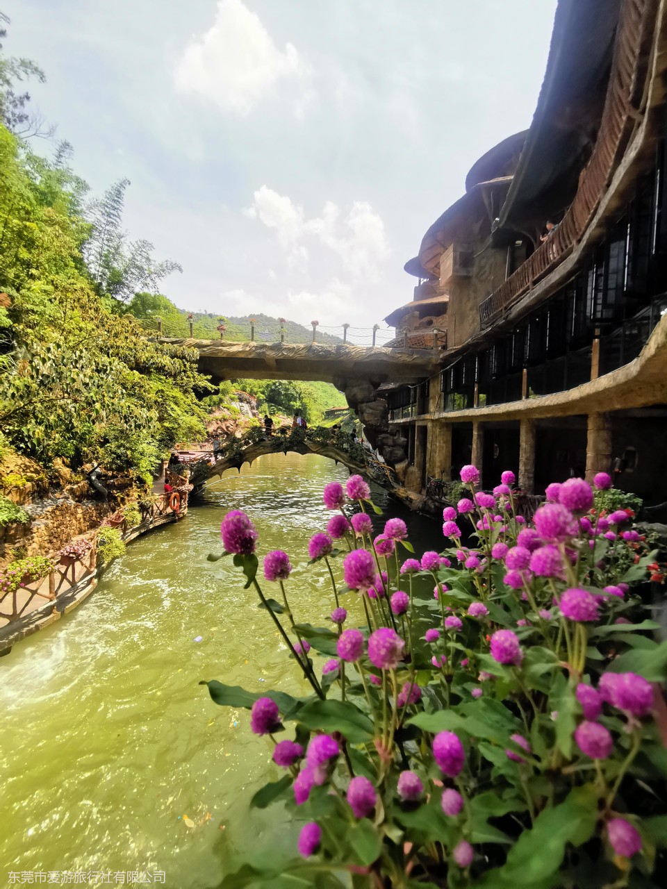 77c445602256a5558deb9cf0060daea