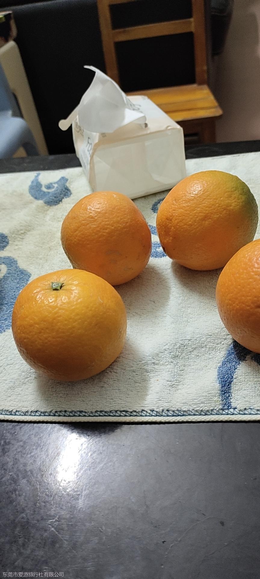 F70u4rELYDp66CU_30CkW9QyxLqIWAAQ1x5q7BetwKzMs-6XvCGxYHehpr-YKrEa