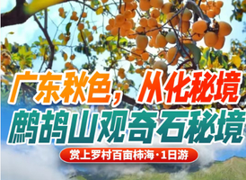 【鹧鸪山】10.25日丨广东秋色，从化秘境，经典环线徒步，观奇石秘境，赏上罗村百亩柿海1天游