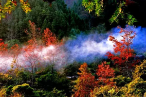 【每周六日发团】广州出发~走进“广东香格里拉”1日游--新丰云髻山，赏枫叶，感受大自然的气息。