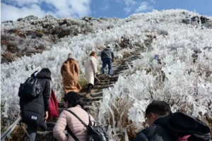 【冰雪奇缘2天游】广州出发！打卡离广州最近的2大冰雪圣地:云冰山+金子山,畅玩云海秘境,赏雾淞、观冰挂2天游！
