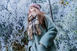 【红色主题私人订制团】汕尾2天/新山村、凤山妈祖、铜鼎山、红宫红场、彭湃故居 2天