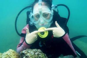 【深圳出发】深圳南澳网红私人沙滩柚柑湾快艇出海+珊瑚潜水带你探秘神秘的海底世界1日游 