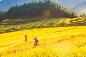 【重阳节千人游登高祈福】￥299美食纯玩3天游~登连山第一高险峰金子山摘金元宝、网红玻璃云梯、欧家梯田、小江银杏~