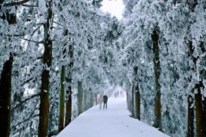 【周末冷空气来袭】388元含住宿！广佛出发！南岳衡山赏雾凇2天游汽车团！南岳祈福赏雾凇云海日出