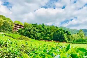 【五一假期】深圳出发！梅州丰顺3天2晚跟团游特惠团