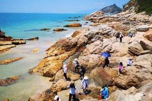 【端午假期】6.3/6.4已成行广州出发！惠州双月湾咸台港海岸线徒步1日游！小众海岸线咸台湾戏水、捉螃蟹、观海龟、抓海胆