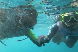 【五一假期】深圳出发惠州桑洲岛露营2天游！花样桨板、浮潜、快艇冲浪、帆船、海边烧烤、荧光晚会、入住帐篷