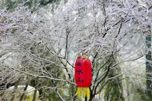 特惠129元！广州出发云冰山1日游！雾凇冰挂来袭：不用出省也能看雪，寒潮打卡冰封风车山