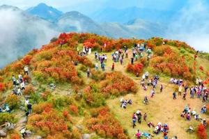 【4.1日出发】2023年第一届天露山杜鹃花15公里徒步节