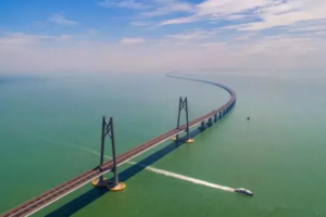 【不用港澳通行证】398元深圳出发畅游港珠澳大桥蓝海豚岛+珠海经典观光一日游