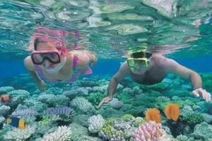 【周三/周六】广州出发！玩转三门岛2日游！广东小塞班玩转昔日禁地三门岛：浮潜+桨板+赶海+沙滩晚会  行摄杨梅坑