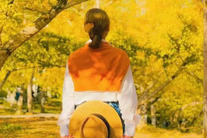 【韶关醉美银杏季】深圳/东莞出发！韶关南雄帽子峰银杏+世界遗产5A景区丹霞山2日游