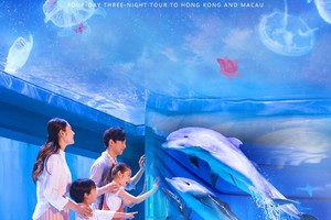 【抖音同款深圳天天出发畅游港澳四天仅需999元/位】 香港观光/海洋公园+香港观光+澳门观光+珠海观光四天3晚游