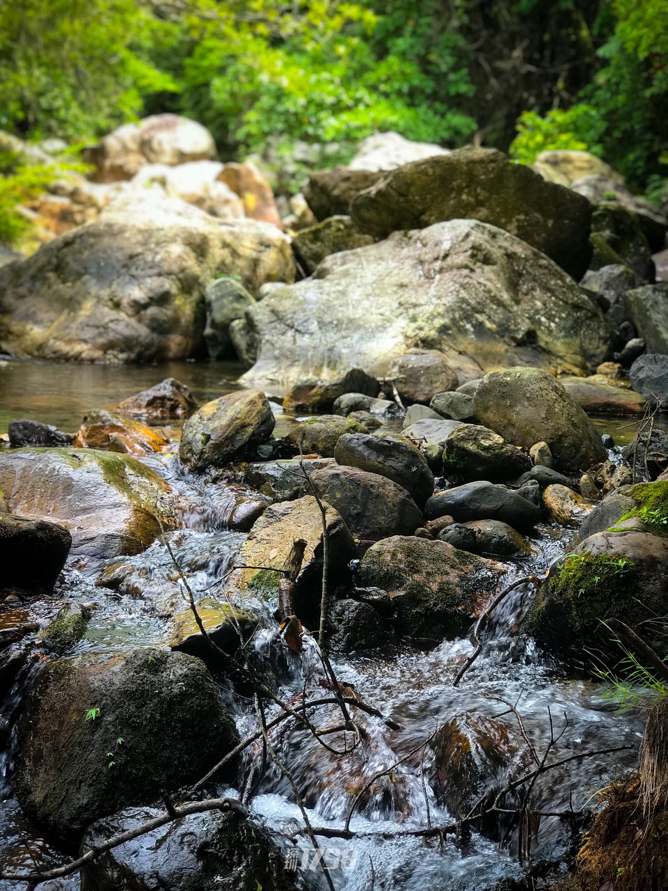 微信图片_20210720142215