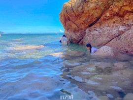 微信图片_20210831042408