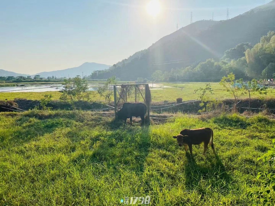 微信图片_20211122170559