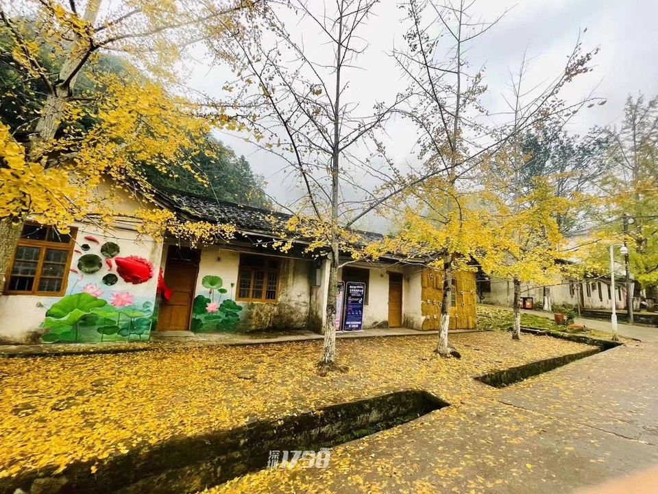 微信图片_20211122170614