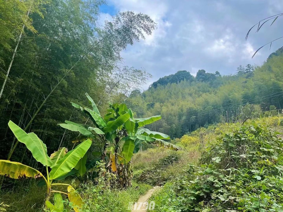 微信图片_20211122170735