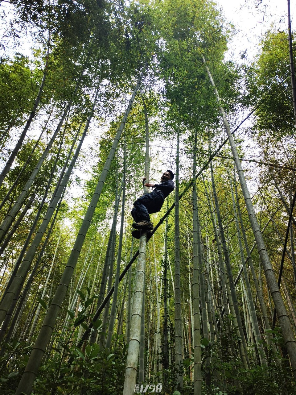 微信图片_20211122170819