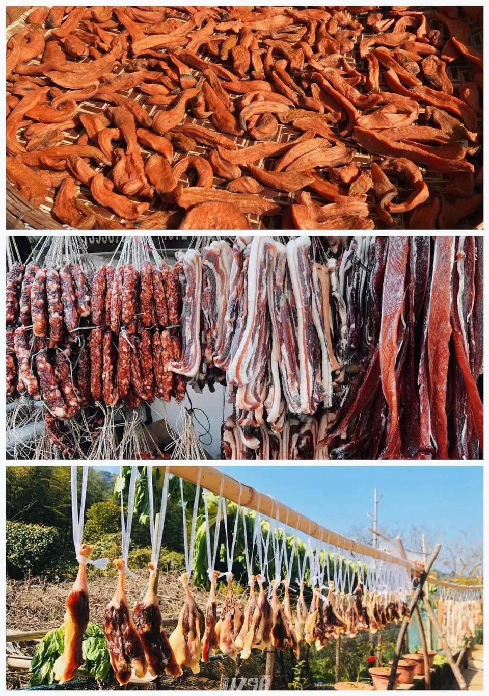 微信图片_20211122183226