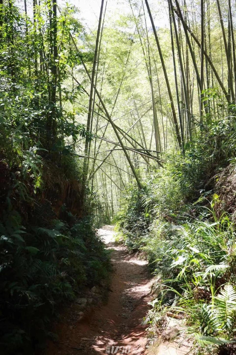 微信图片_20211122183248