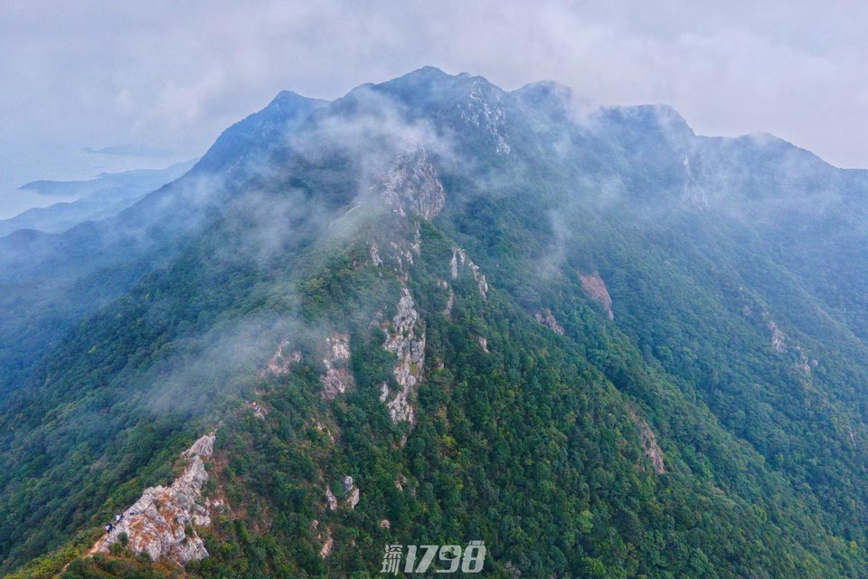 微信图片_20211123184714