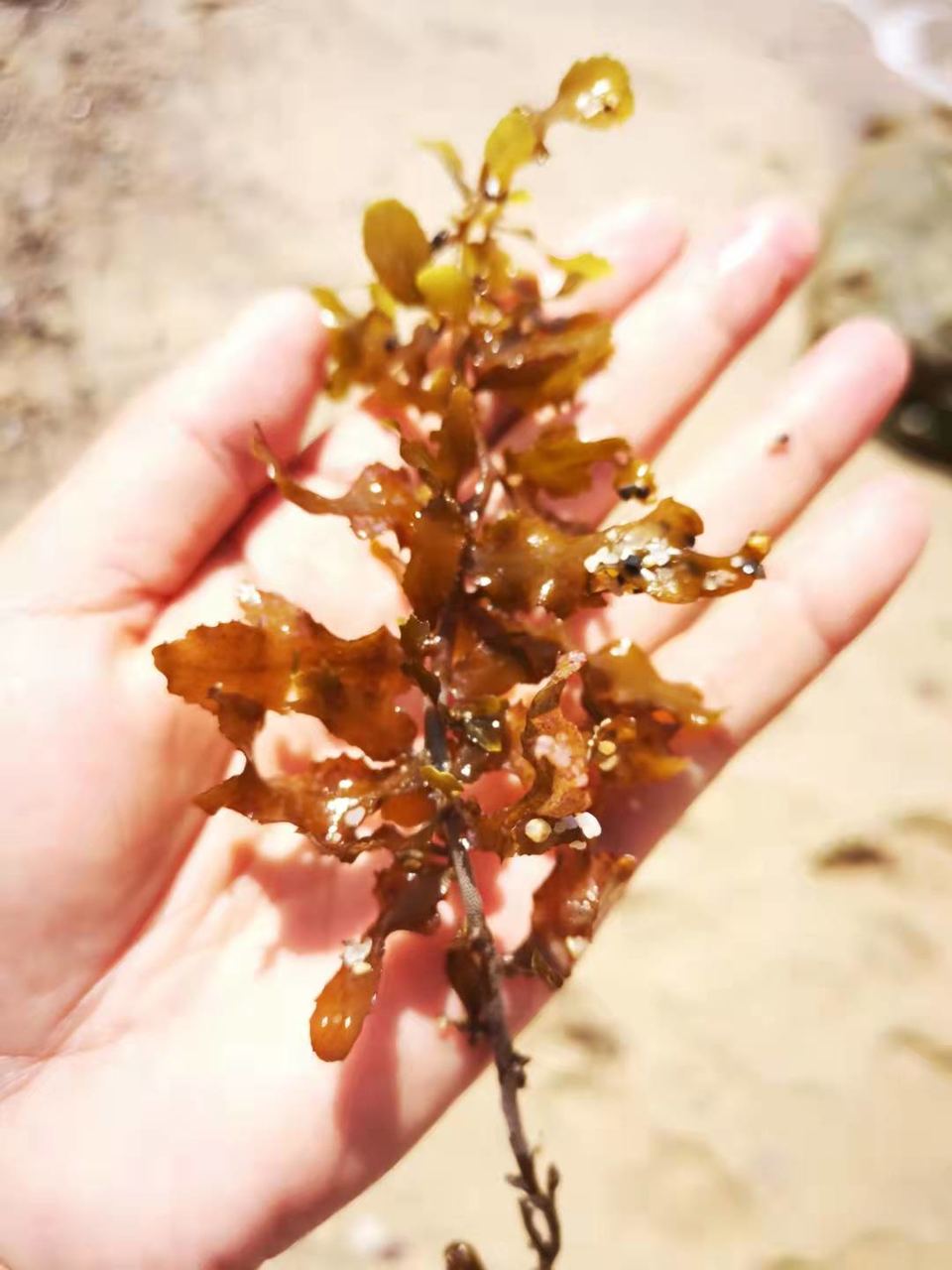 z-xbNYb230JI_yVoa3iPXDh9HM_CFhr6H3ajsBAPBX6NF9gsKyUJIQQ7ppxMata6