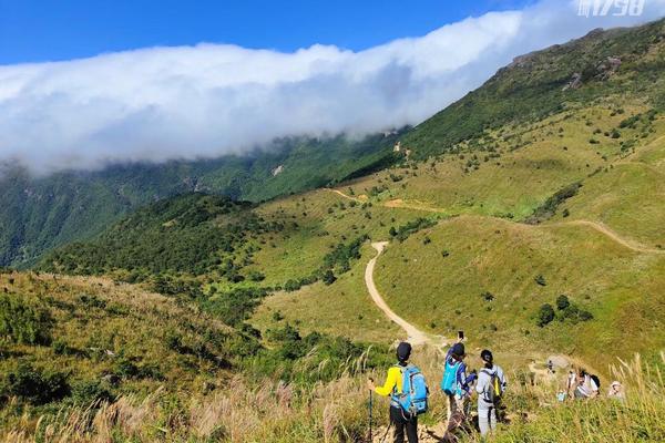 11.7周日，广东小武功山，惠州大南山13km高山草甸徒步
