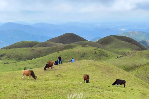 【入门-夜爬鸡笼顶】7.27-7.28徒步阳春鸡笼顶，绝美高山草原 日出 
